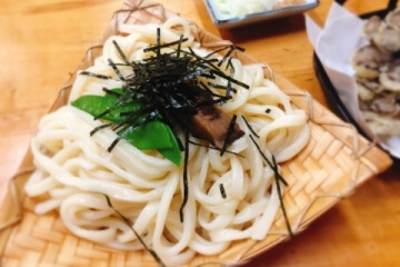for Udon